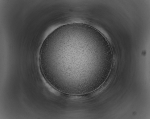 X0000096631439200802121037