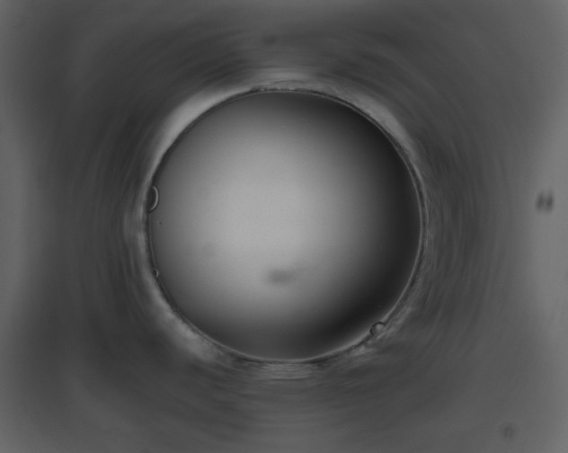 X0000096631440200802121037