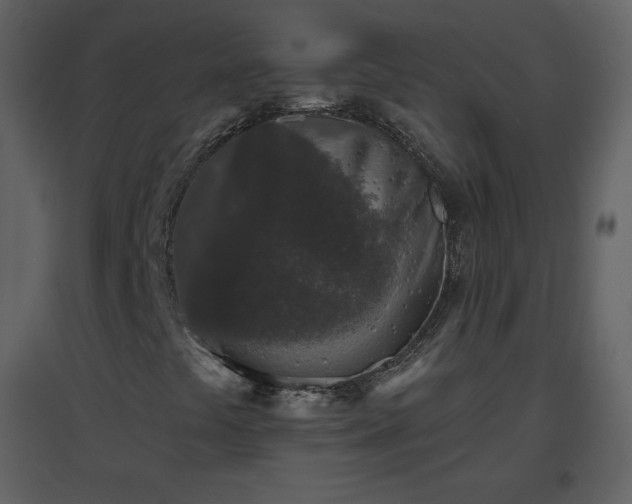 X0000096631441200802121037