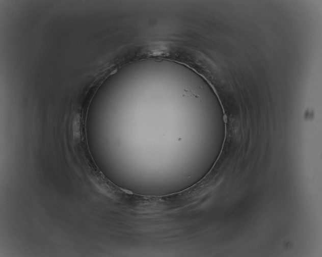 X0000096631442200802121037