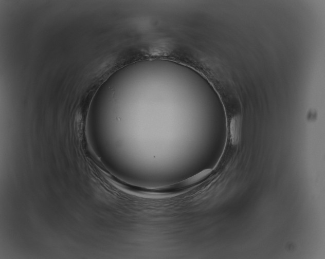 X0000096631443200802121037
