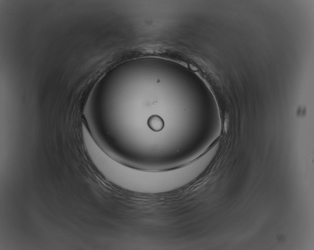 X0000096631444200802121037