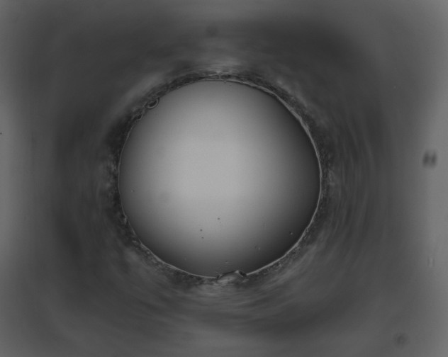 X0000096631447200802121037