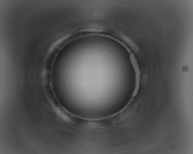 X0000096631448200802121036