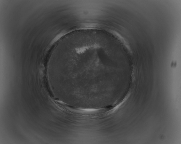 X0000096631449200802121036