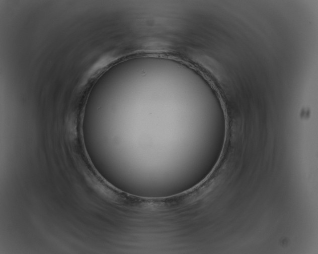 X0000096631451200802121036