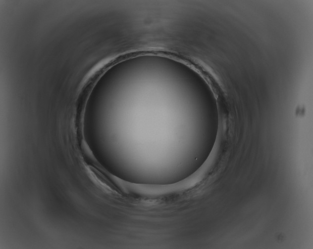 X0000096631452200802121036