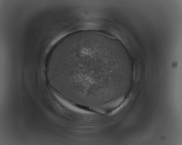 X0000096631453200802121036