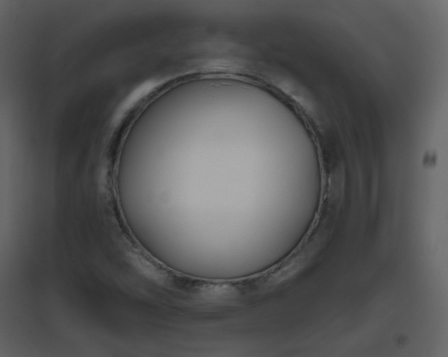 X0000096631454200802121036