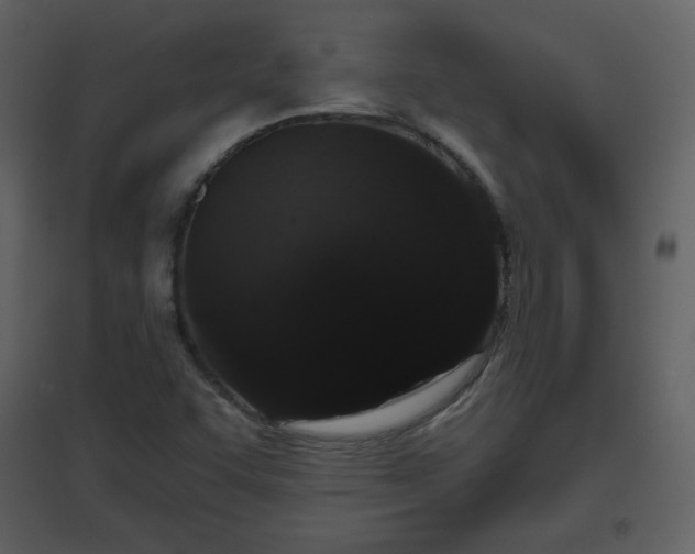 X0000096631455200802121036