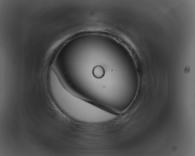 X0000096631456200802121036