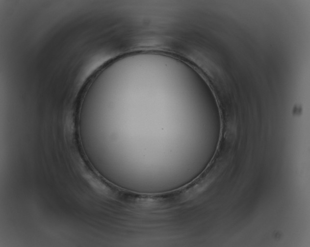 X0000096631458200802121036