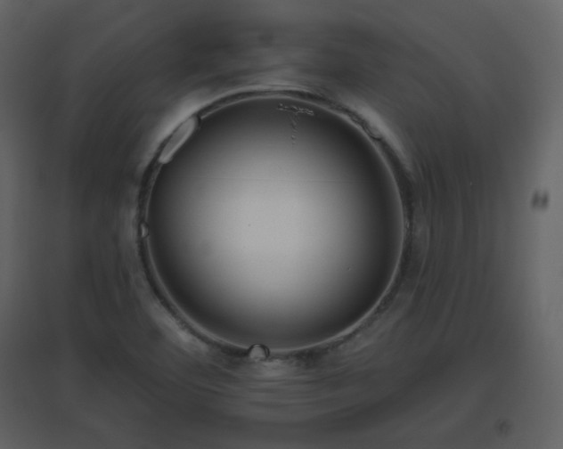 X0000096631460200802121036
