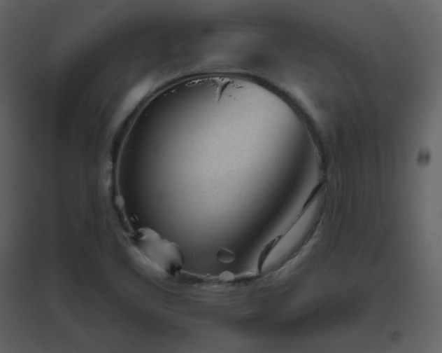 X0000096631461200802121036
