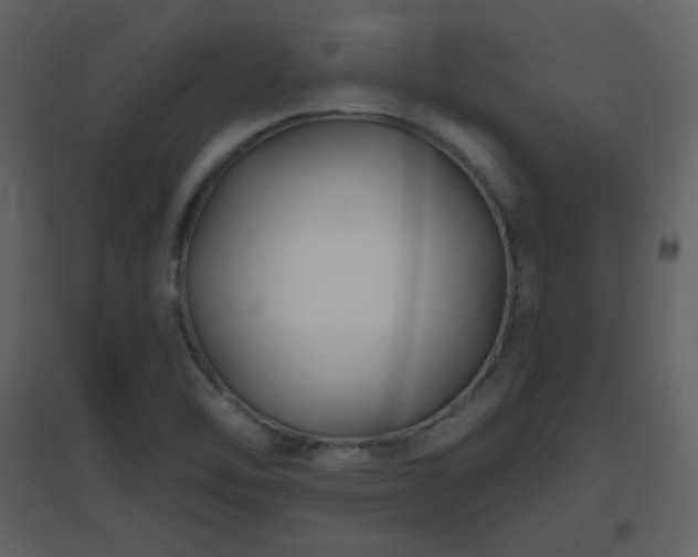 X0000096631462200802121036