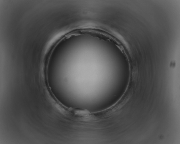 X0000096631464200802121036