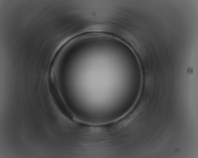 X0000096631465200802121036