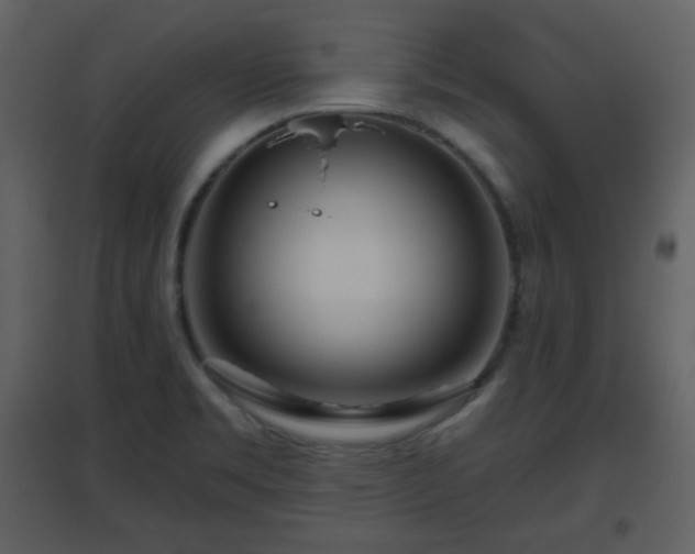 X0000096631469200802121036