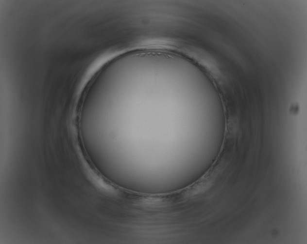 X0000096631470200802121036