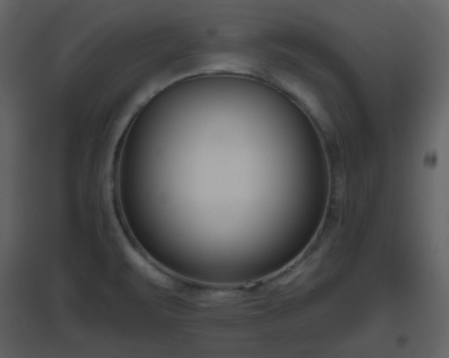 X0000096631471200802121036