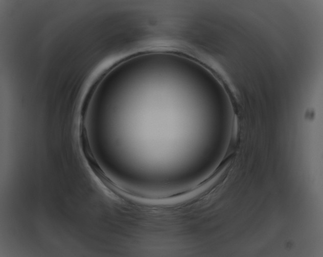X0000096631472200802121036