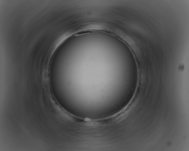 X0000096631473200802121036