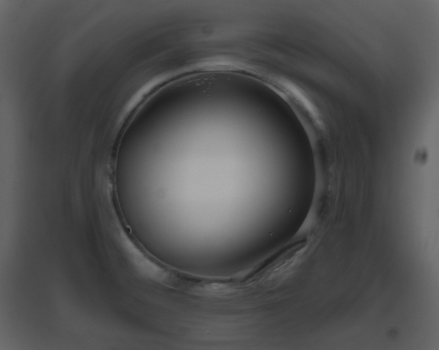 X0000096631476200802121036