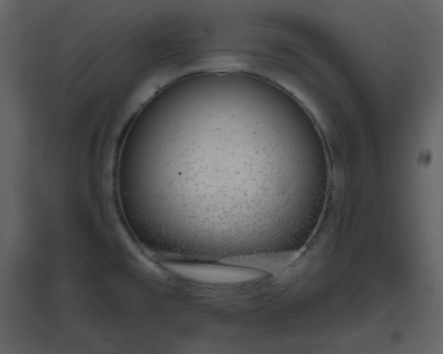 X0000096631477200802121036