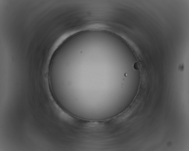 X0000096631478200802121036
