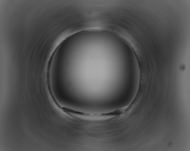 X0000096631483200802121036