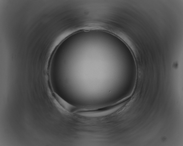 X0000096631485200802121036