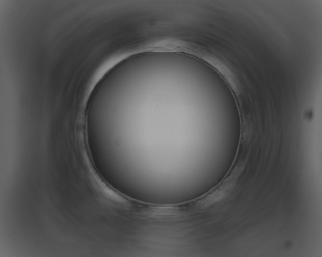 X0000096631486200802121036