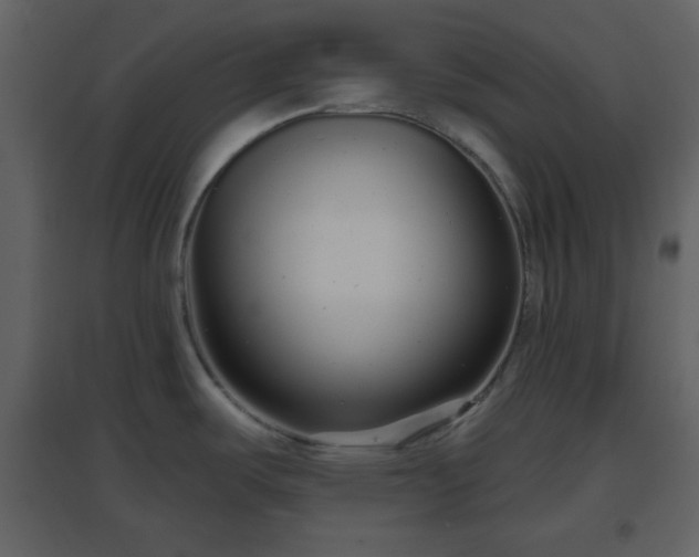 X0000096631487200802121036