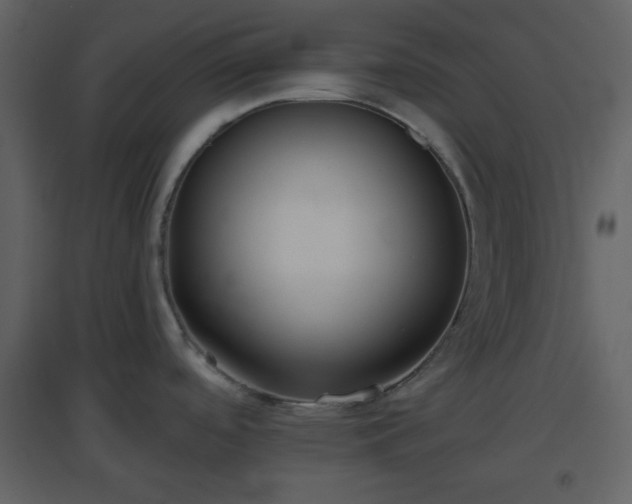 X0000096631488200802121036