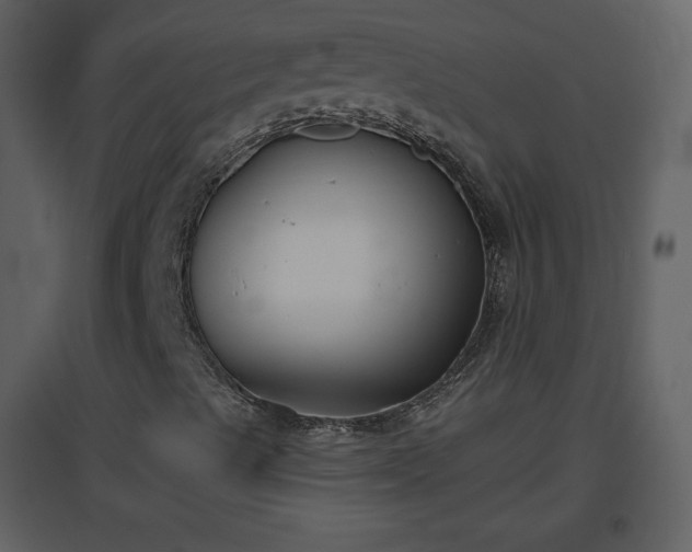 X0000096631489200802121035