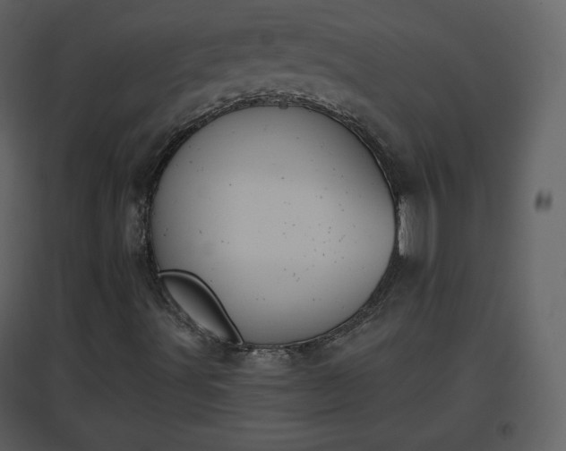 X0000096631491200802121035