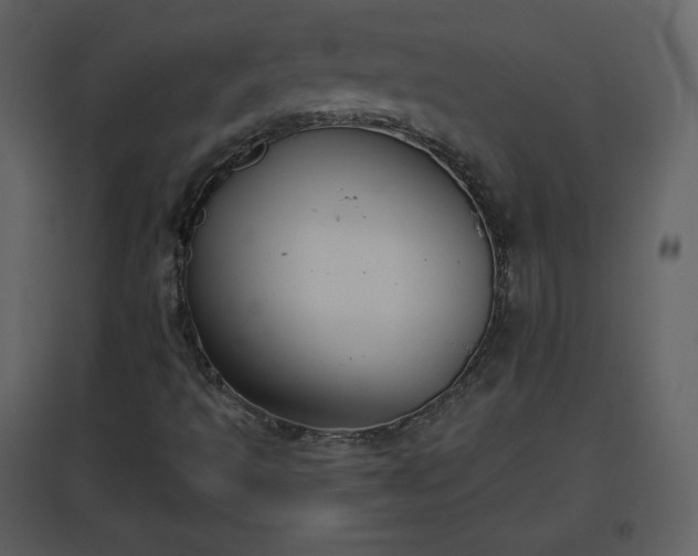 X0000096631493200802121035