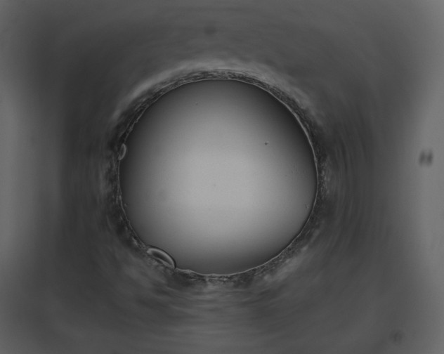 X0000096631494200802121035