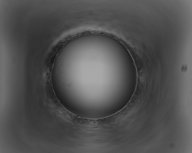 X0000096631495200802121035