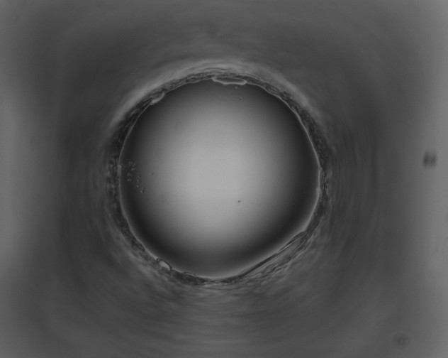 X0000096631496200802121035