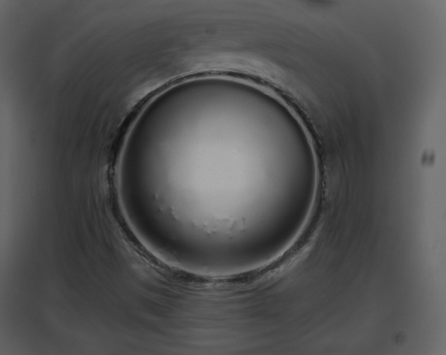 X0000096631497200802121035