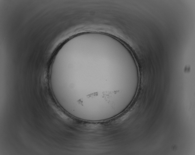 X0000096631498200802121035