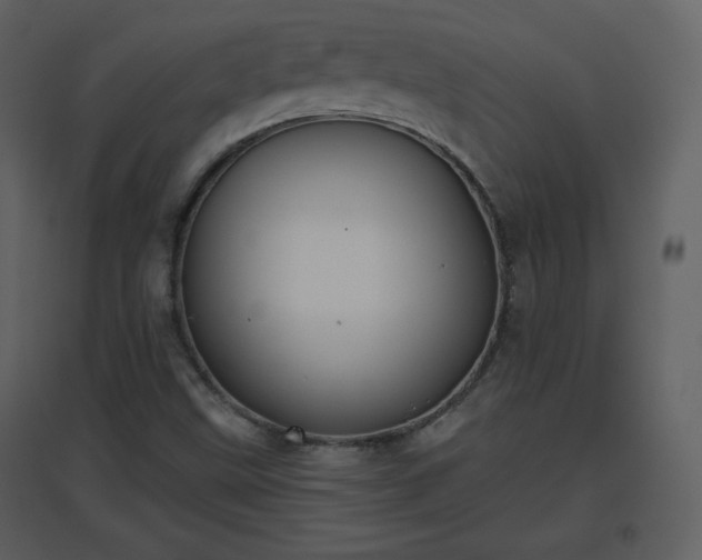 X0000096631499200802121035