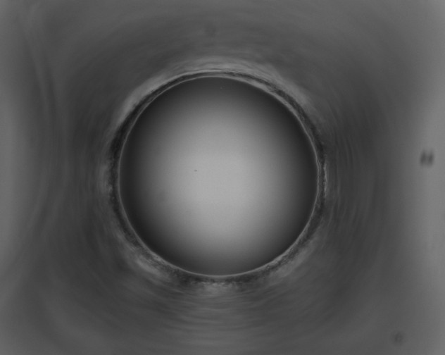 X0000096631501200802121035