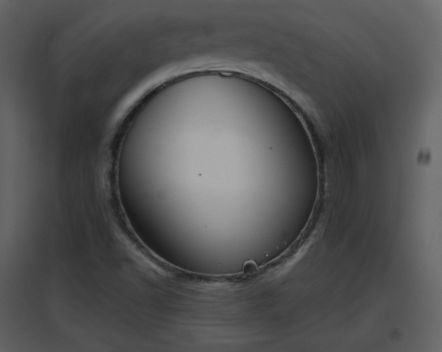 X0000096631502200802121035