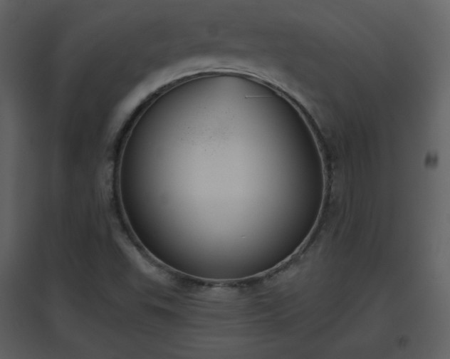 X0000096631503200802121035