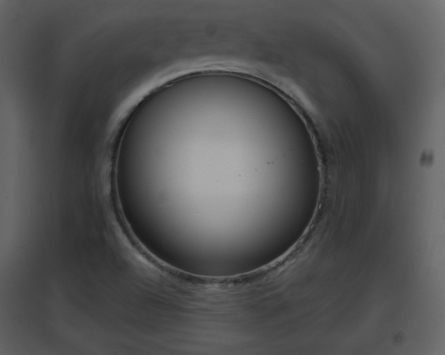 X0000096631504200802121035