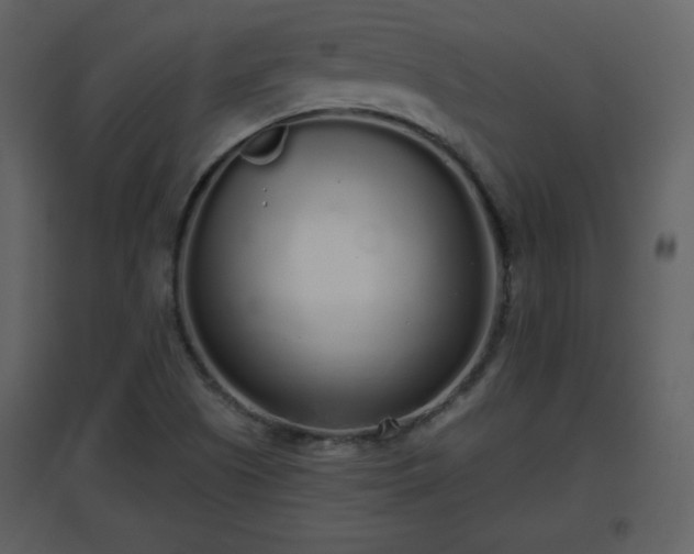 X0000096631505200802121035