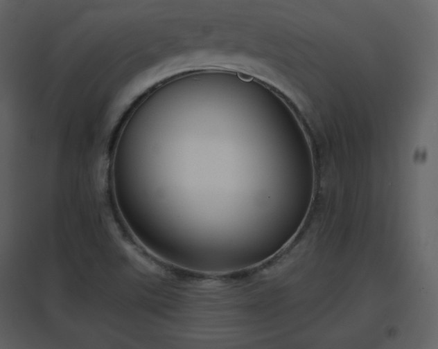 X0000096631507200802121036