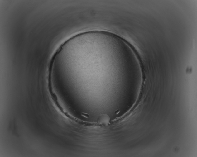 X0000096631508200802121036